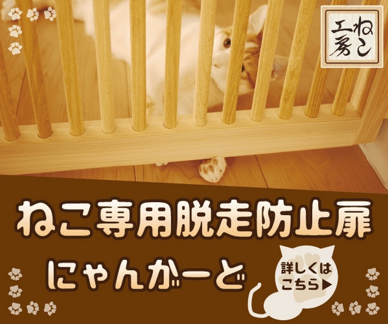 �˂��H�[�����˂���p�E���h�~���]���́H�u�ɂ�񂪁[�ǁv���T�C�g